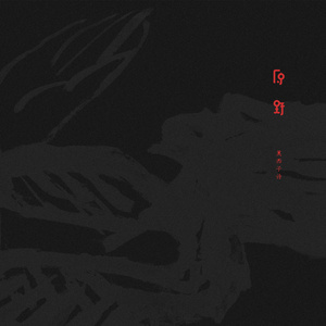 看美女的大逼逼
