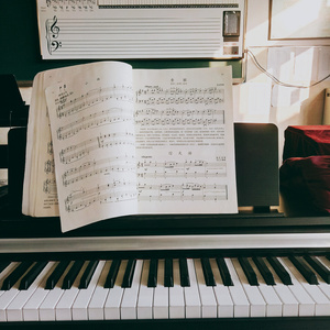 看美女的大逼逼
